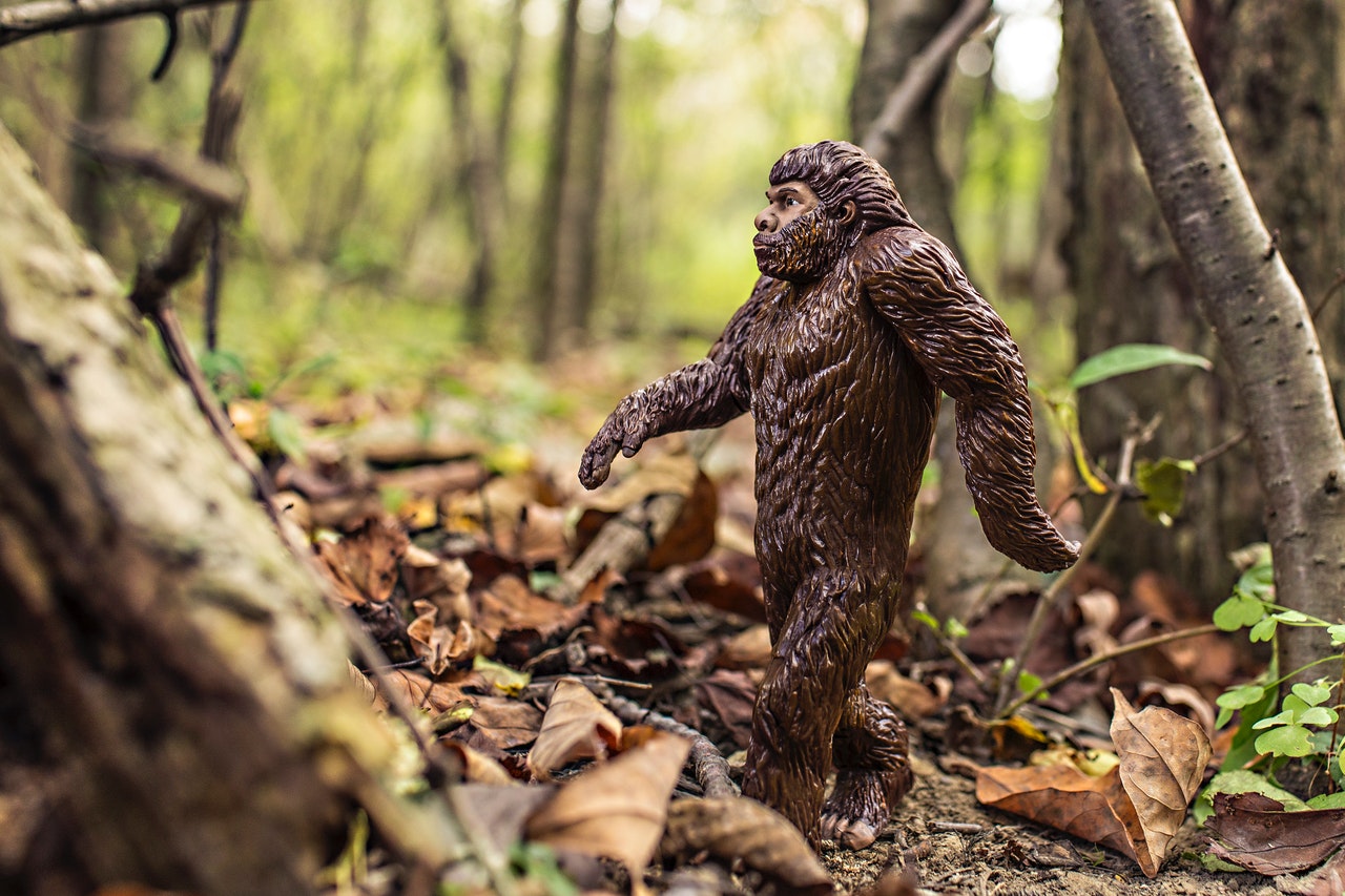 Bigfoot is only real as a toy