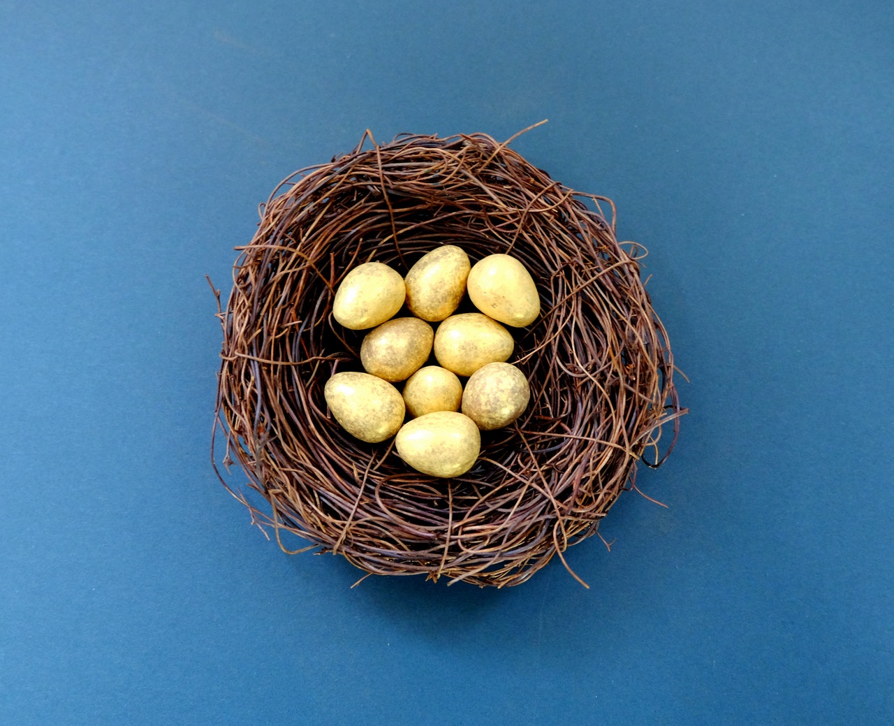 Easiest way to get rich quick is to believe your own nest is filled with gold eggs