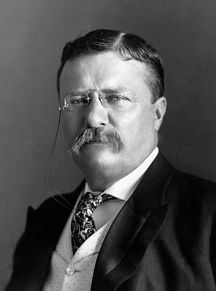 Theodore Roosevelt admired people who worked hard. 