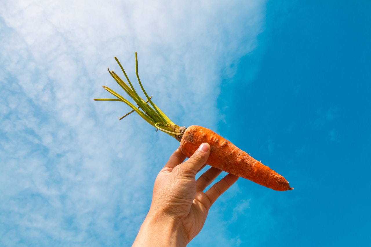 A carrot symbolizes a reward for doing something hard. 