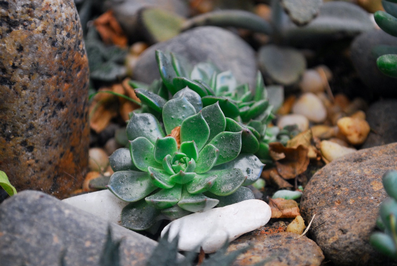 A rock garden is another good metaphor for a life jar. 